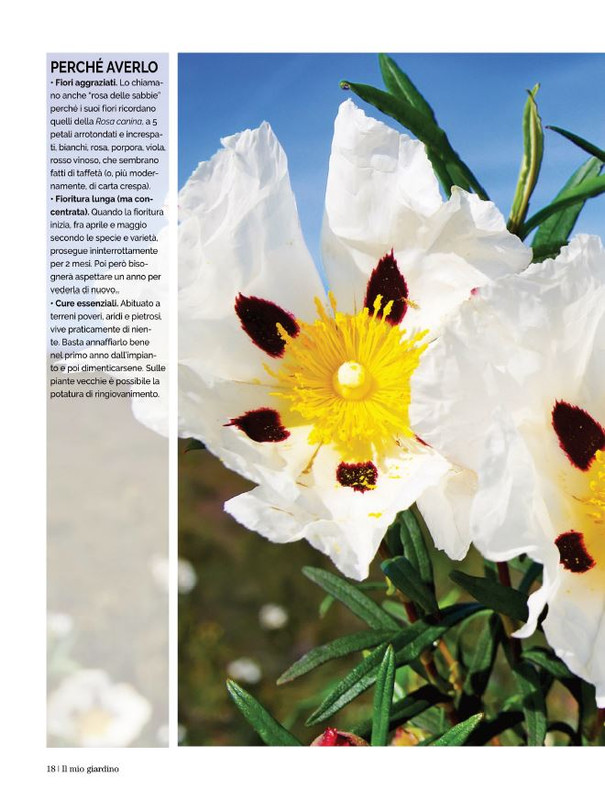 Il Mio Giar GIu-Lug 2022 (3)