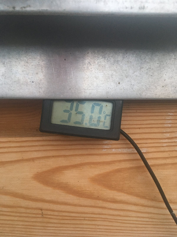 C02EC5DD-0CE1-4A99-990B-0C27C4F9BFB2