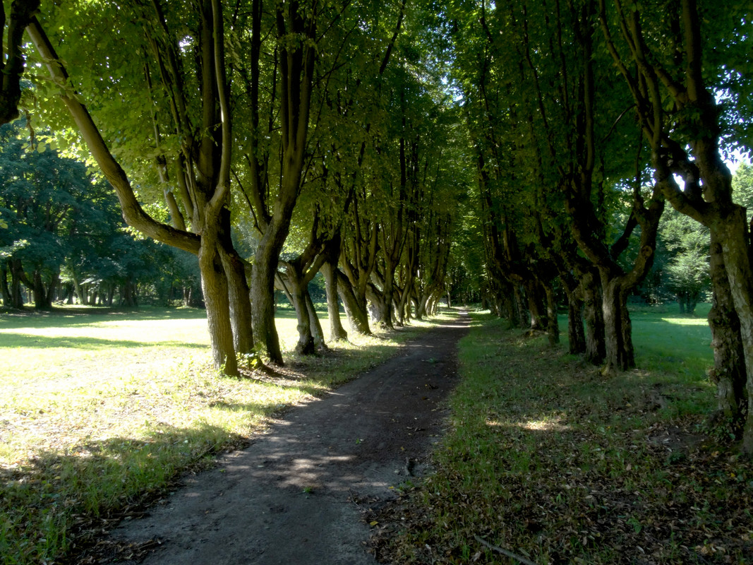 17.02 - DSC07567 (Czesio1)