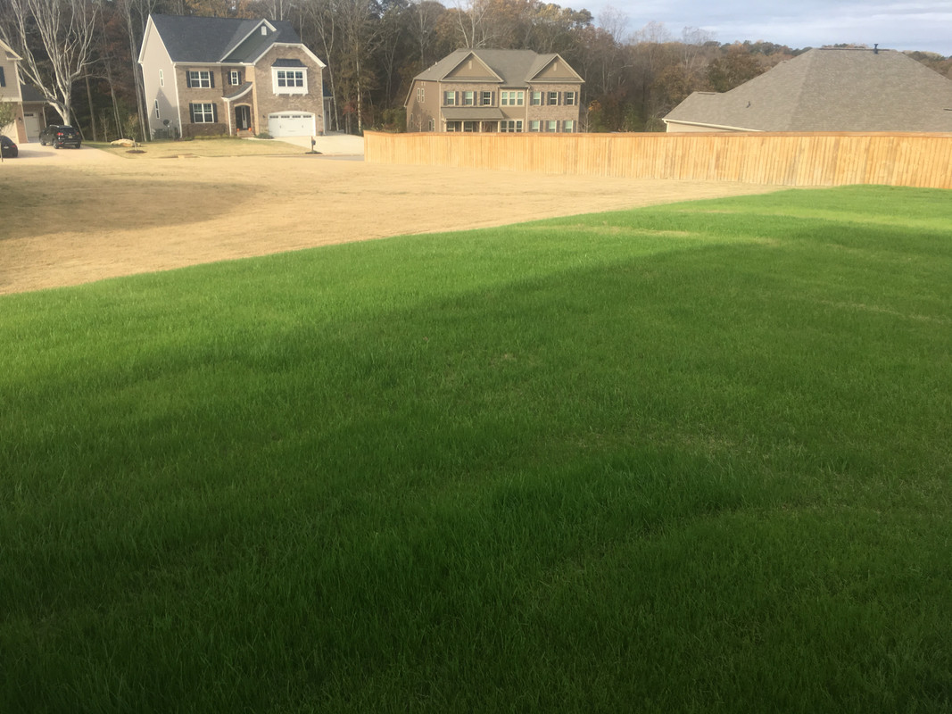 1AC2FFEF-8AB5-4DFA-98AA-7E6F59350683