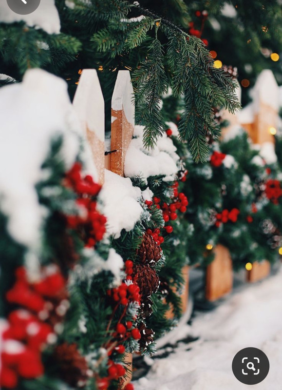 Screenshot_20231126_131542_Pinterest