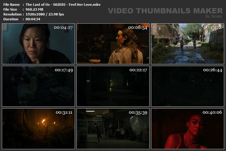 The Last of Us - S02E05 - Feel Her Love.mkv