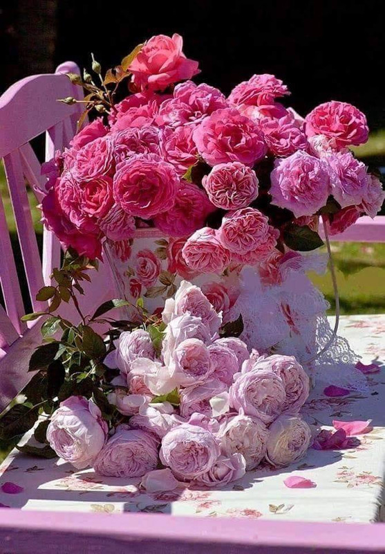 [Image: 44585399-2216132788420267-3653939690450452480-n.jpg]