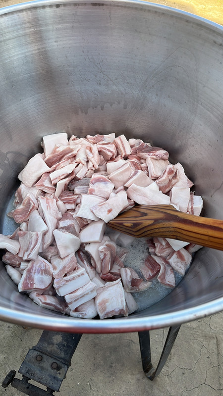 D4658D1D-0482-4EF5-A6C6-FBED533AF913