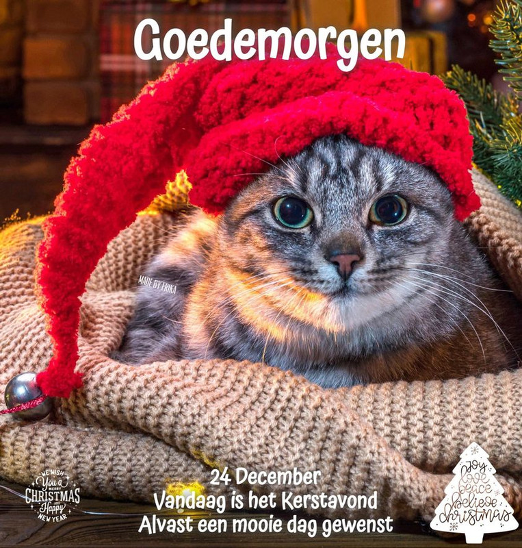 WELKOM BY MOOIE PLAATJES HTML leren
