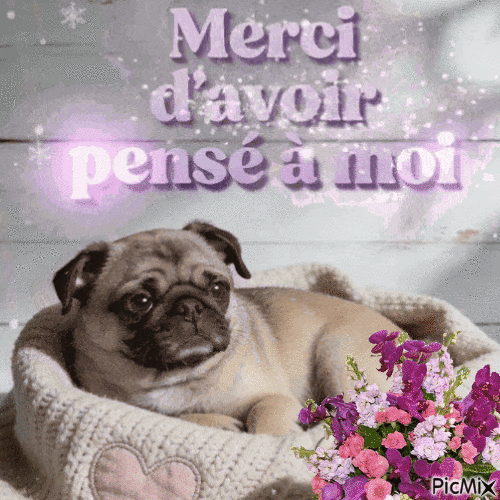 https://i.postimg.cc/BnFYJJhY/merci.gif