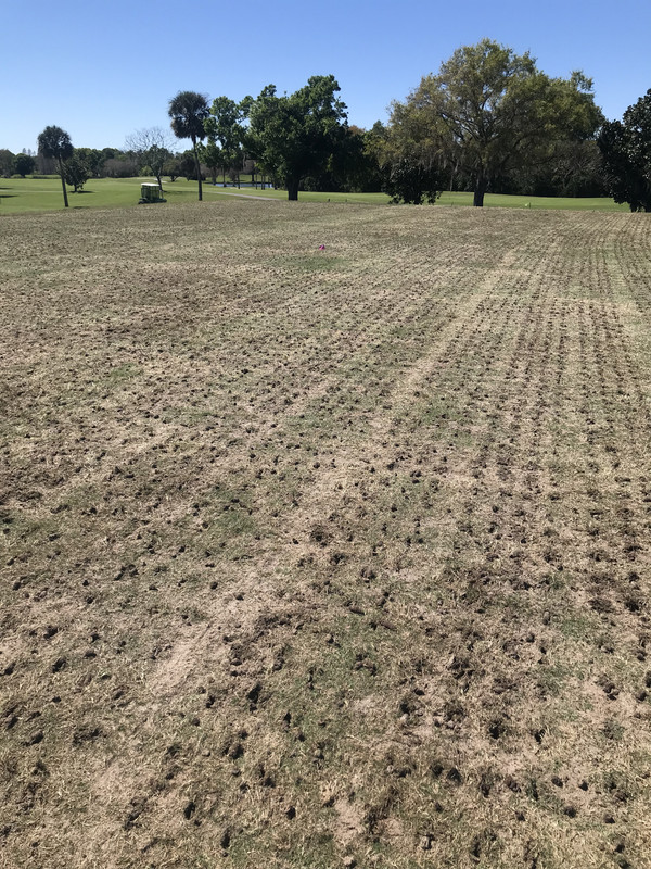 B2967C69-EFB4-4665-BE92-EC7317FFC8AD