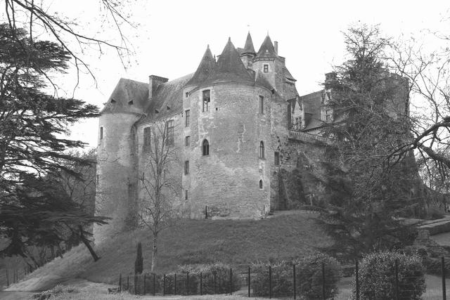 CASTILLOS DE LA DORDOÑA, Monumento-Francia (5)