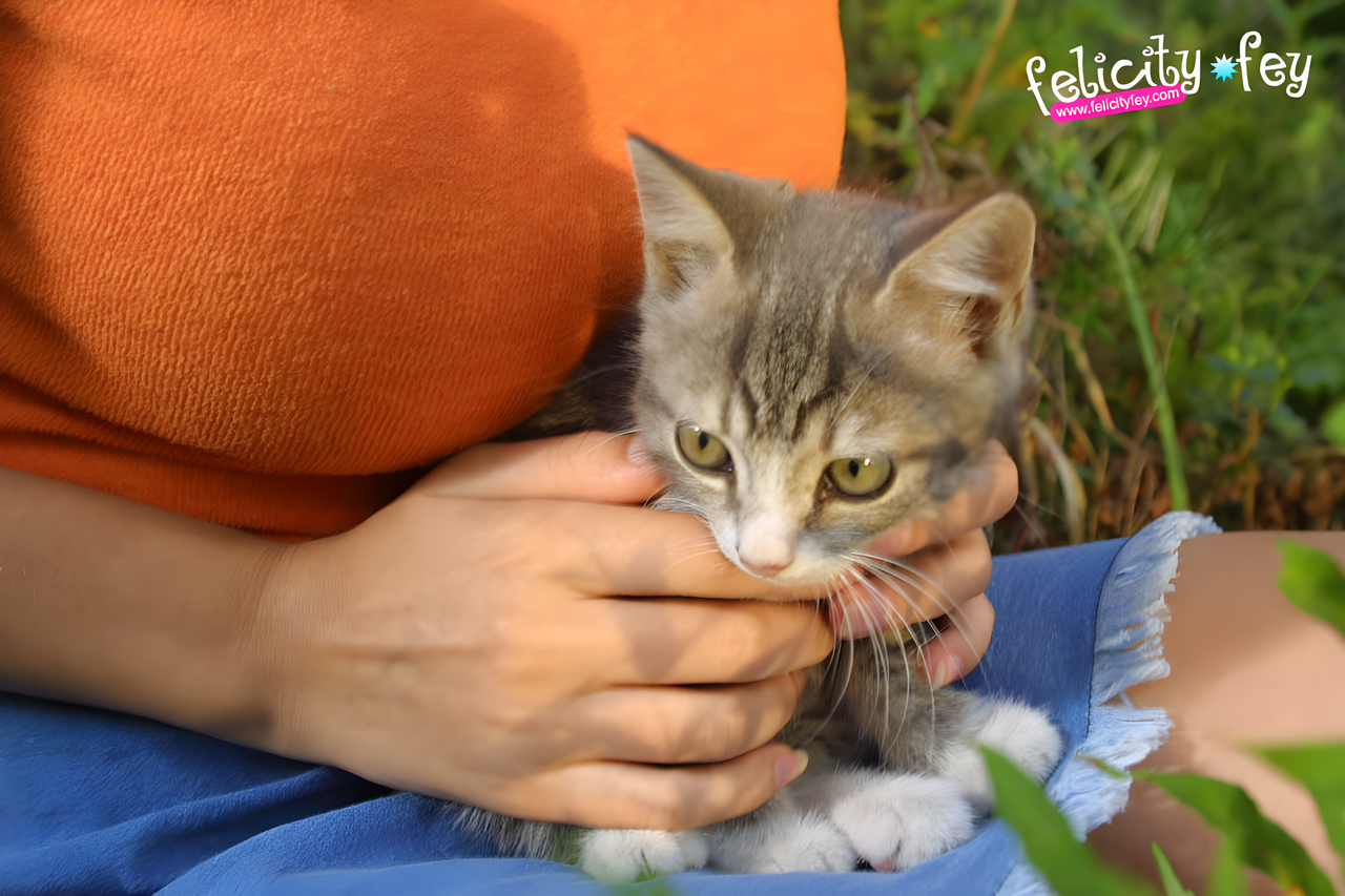 felicity fey 01117 lg 4k