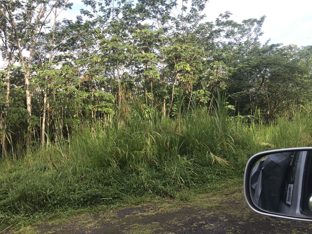 BA22583E-B7B3-47EA-AEBE-3DE12D0C77AB