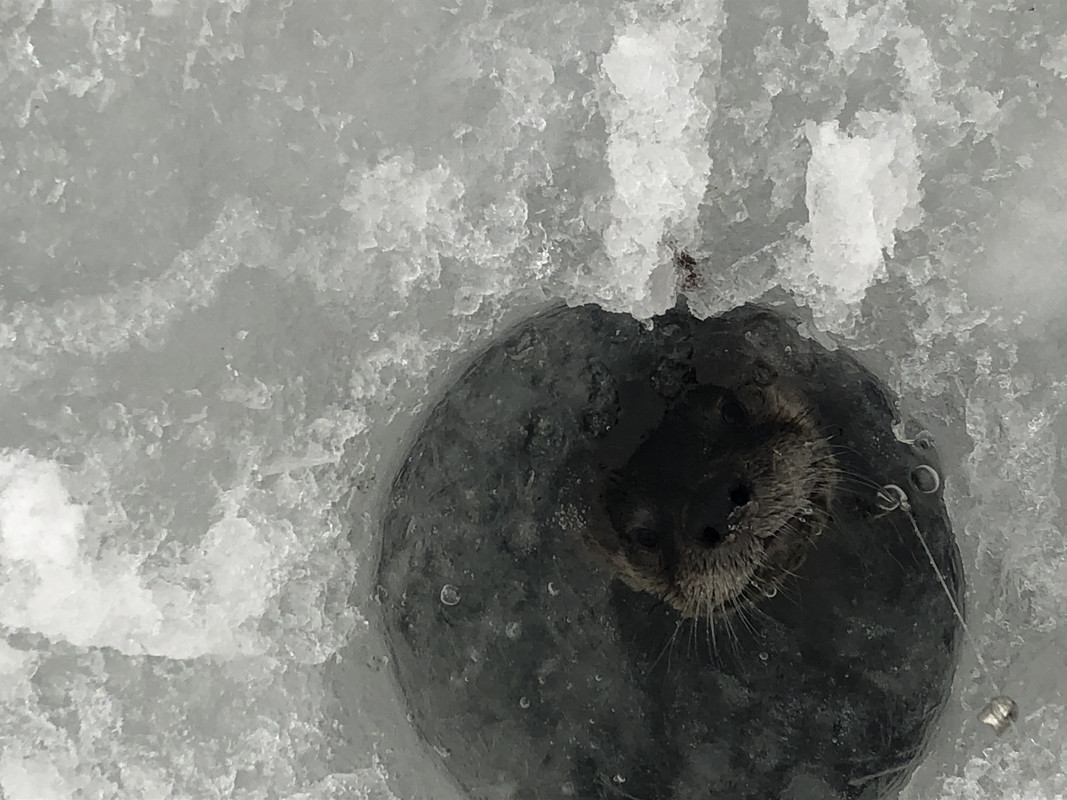 60D47D7F-2283-48BD-961A-A78F31B03AA5