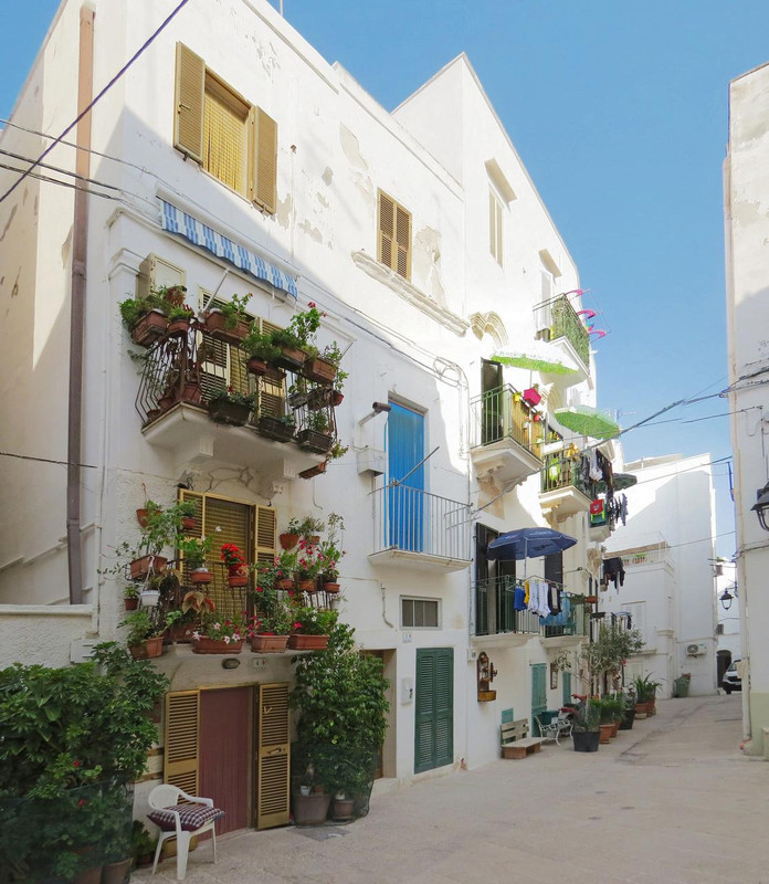 [Group 12]-IMG_2347_IMG_2348-2 images-п12