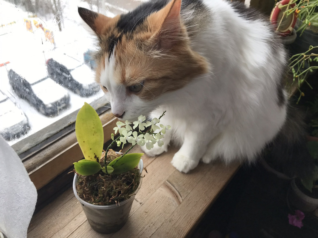 0497ABBE-61EC-4519-ADAE-F4D17F5F041B