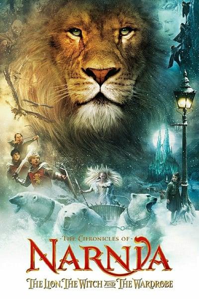 The-Chronicles-of-Narnia-The-Lion-The-Witch-and-The-Wardrobe-2005-1080p-Blu-Ray-x265-RARBG.jpg
