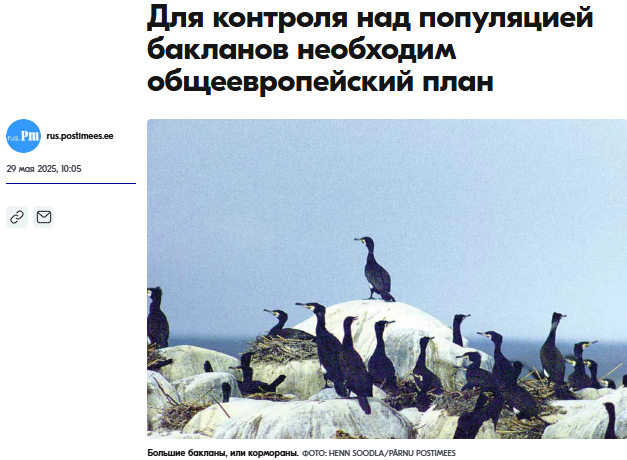 screenshot-199.png