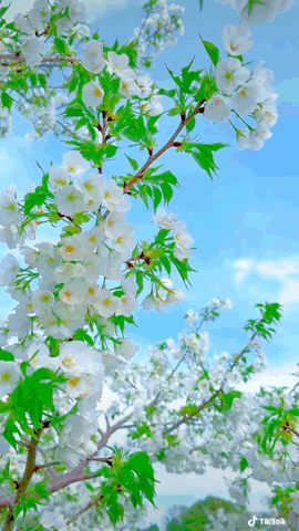 42-F688-EF-3116-468-F-870-D-C0-D0061-F85-CC