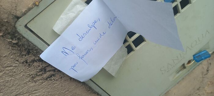 Abandonan perrita con nota y croquetitas, encontró una nueva familia