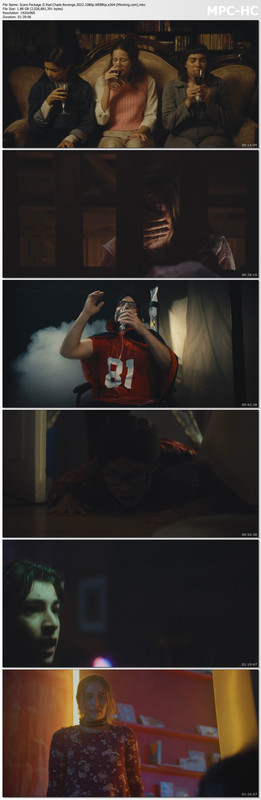 Scare.Package.II.Rad.Chads.Revenge.2022.1080p.WEBRip.x264-[Mkvking.com].mkv_thumbs