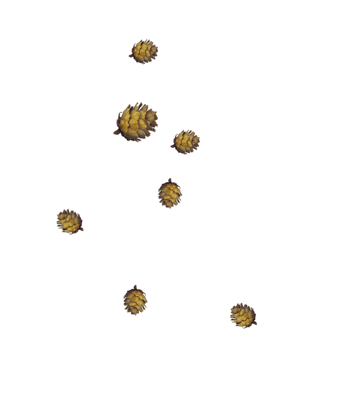 GJ_PUClusterJoyfulSnowman (6)