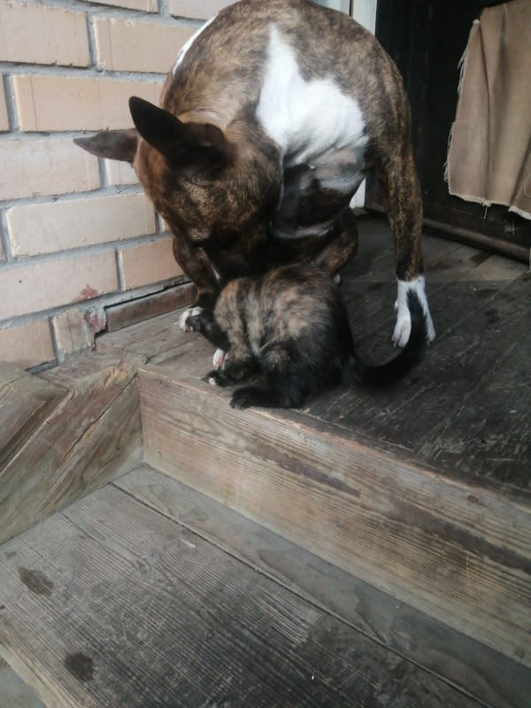 16367F04-F076-4A53-9018-512DA1E74A6E