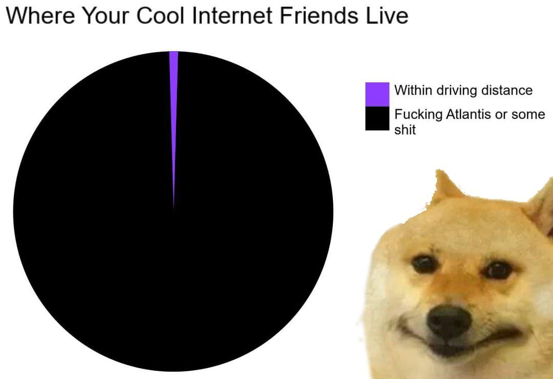 doge.jpg