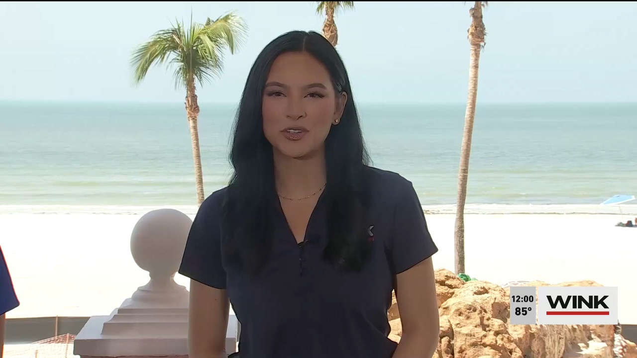 03.28 - 17.00.00 - The WINK Noon News  ᴺᵉʷ. Midday news update..ts_snapshot_07.14.457