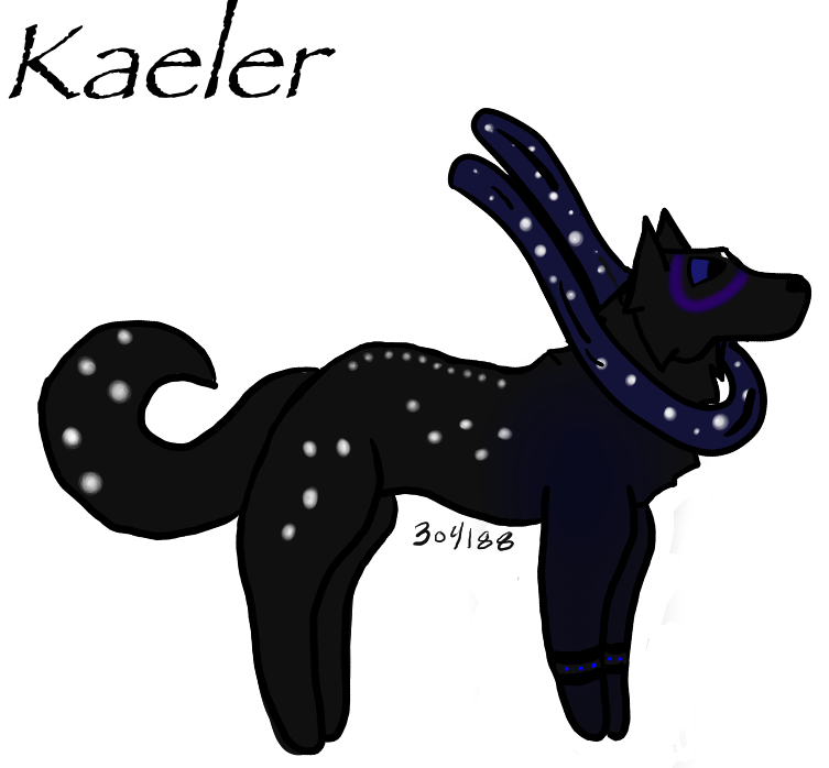 Finished-product.png