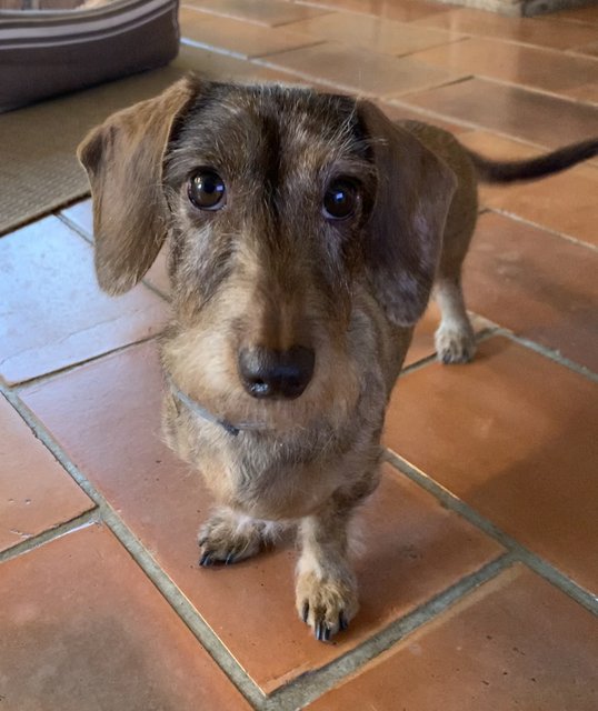 [Image: 45-A7-D335-7096-4-C0-F-BADD-07-FD57-CAF8-A1.jpg]