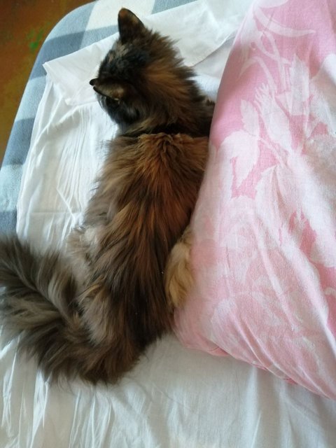 B8F9DCDC-C9C5-4ED9-9CC5-0D04D47E225B