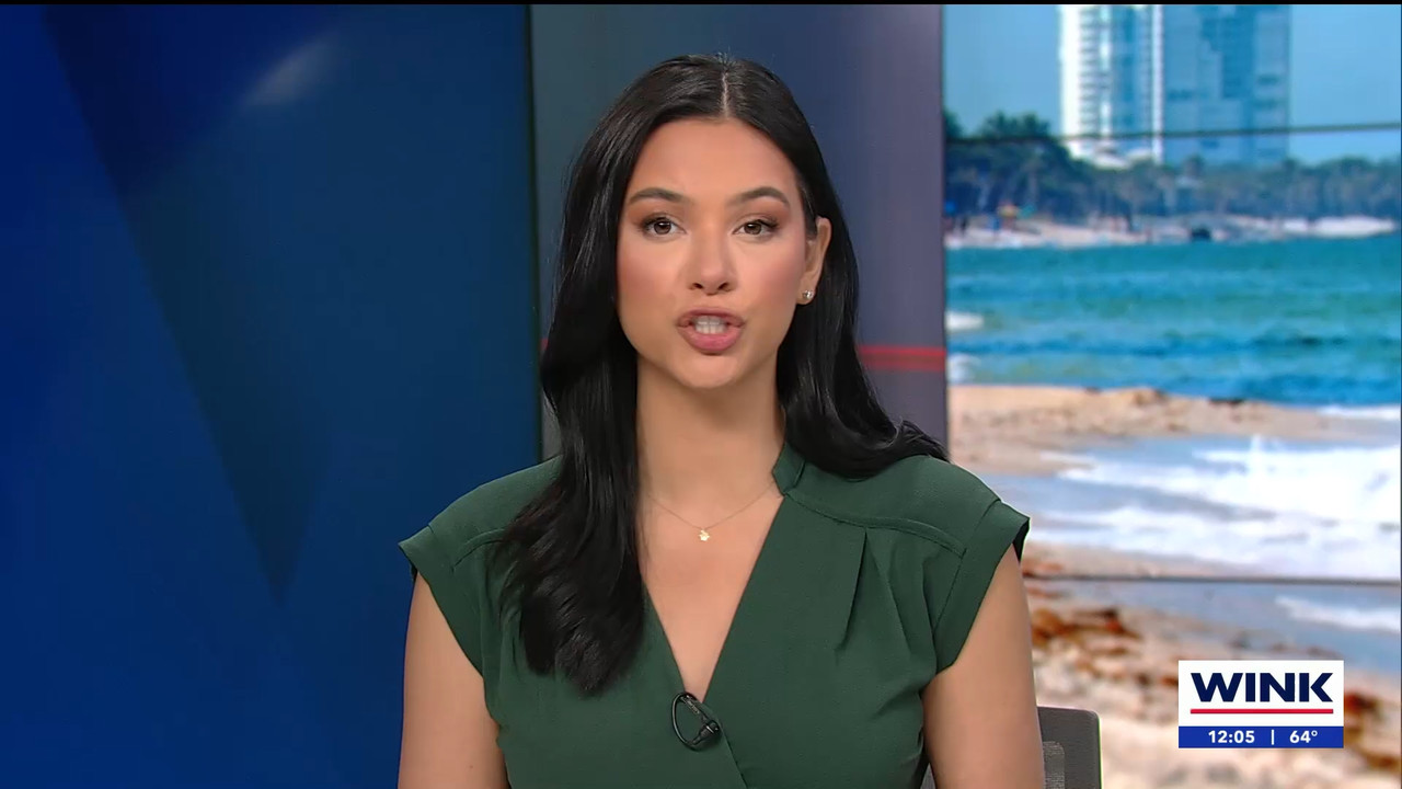 01.30 - 17.00.01 - WINK Noon News. Midday news in Ft. Myers with the ....ts_snapshot_10.59.965