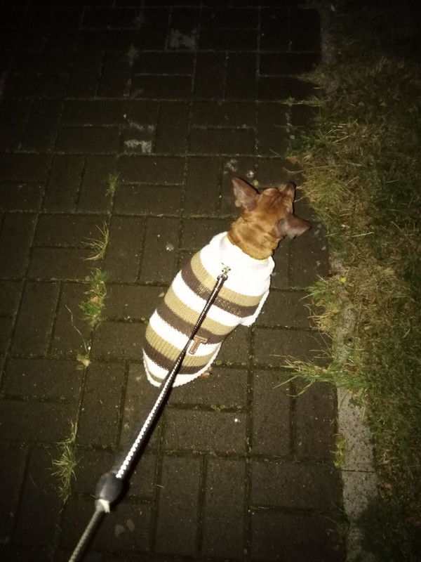 C5A37E60-96BD-47EA-93F5-9F81C104178D