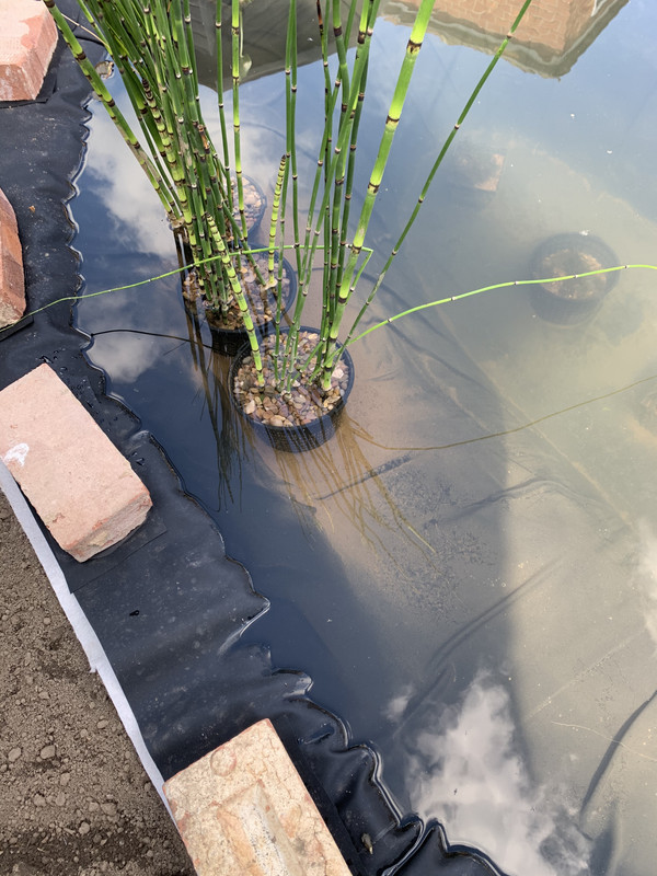 3D2F3A7F-A769-4352-BEE5-182C30C6A8C9