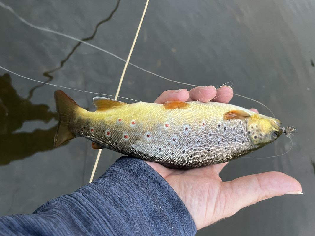 41BB4EBD-DFBD-41AB-BE61-444DE6B729FA