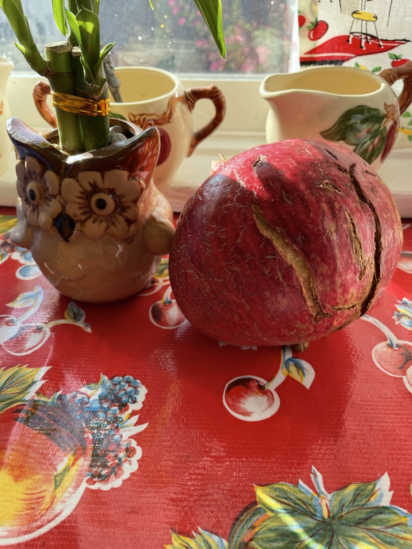 34B1DB59-74B2-46C8-A9F2-C3585E2FBB1C_1_105_c