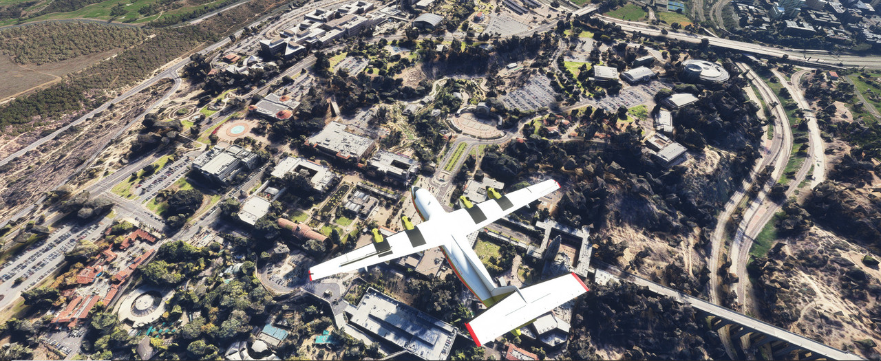 Dash-7-29.jpg