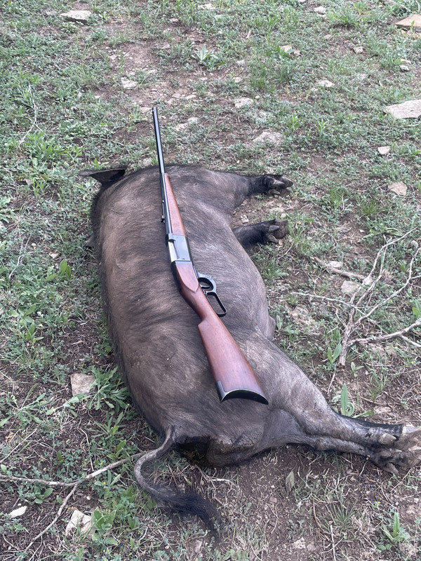 6827679D-8011-424F-96BA-961F406C1CC2