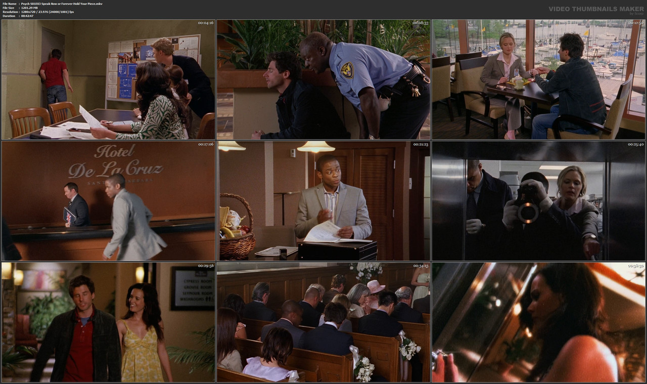 Psych S01E03 Speak Now or Forever Hold Your Piece.mkv