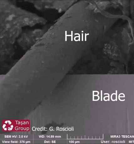 GIFs-17