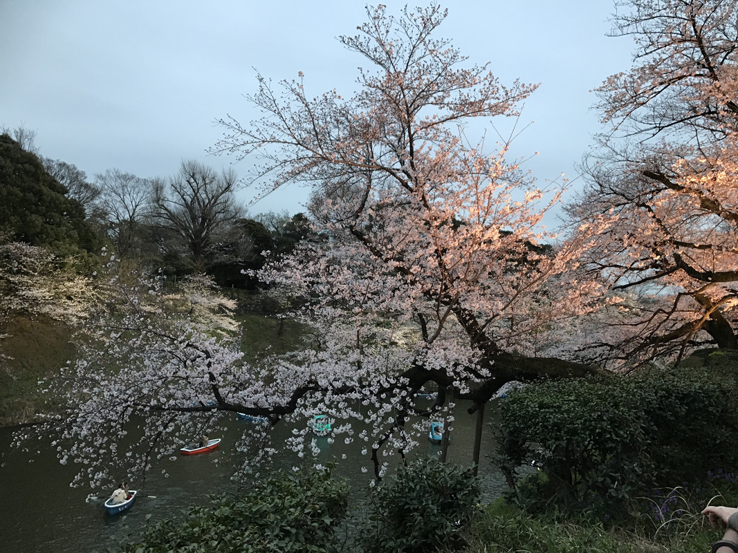 31C71B63-0BE5-4367-9F75-D74A39F325F9