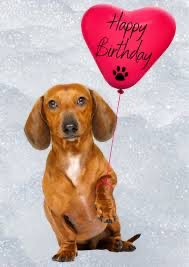 [Image: IMG-0416.png]