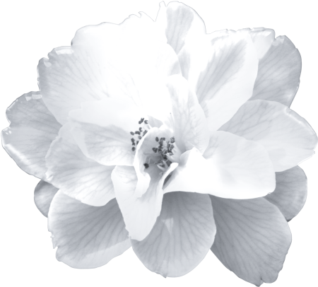 WINTER LOVE_DBJ-ELEM (93)