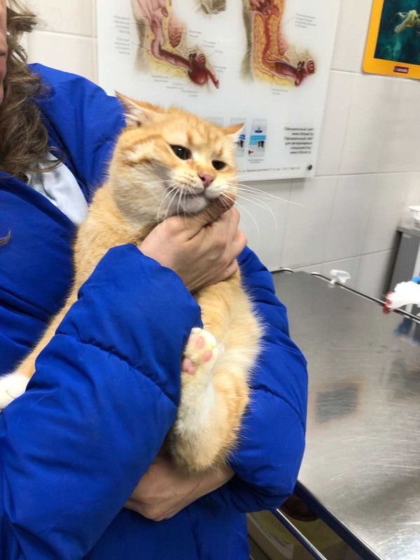 86F6969E-BB71-40C6-8E57-9738EB5D5053