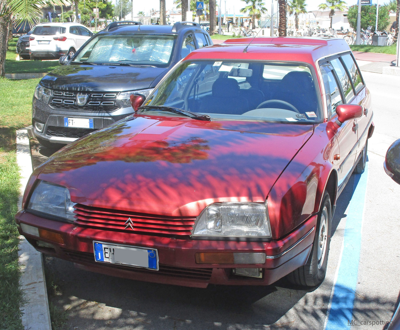 IMG-8814.jpg