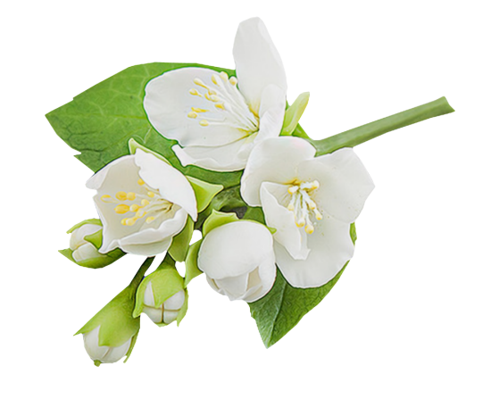 Mariposa_Kit_45
