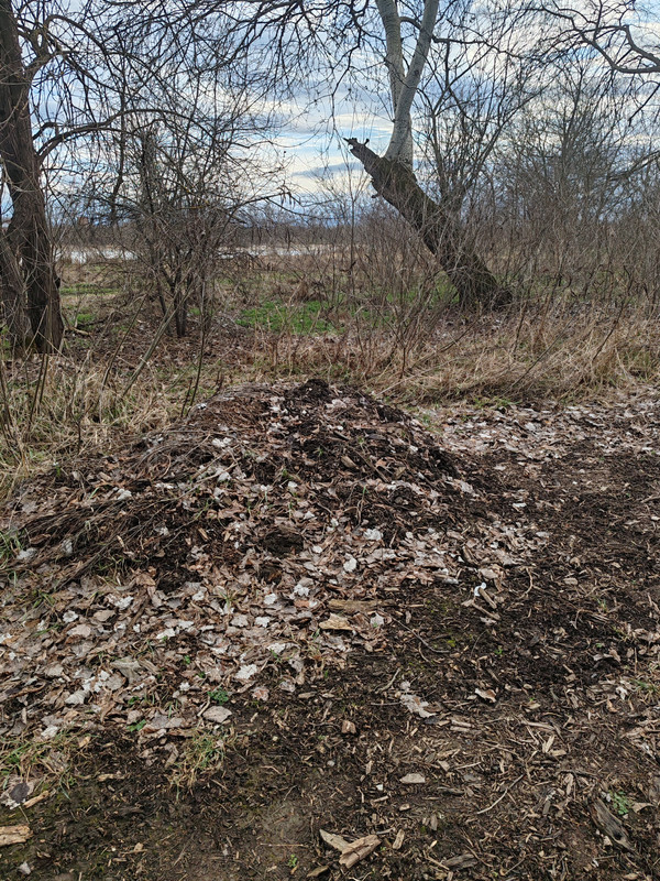 7768d9609a8582d555f657acad6bd b48