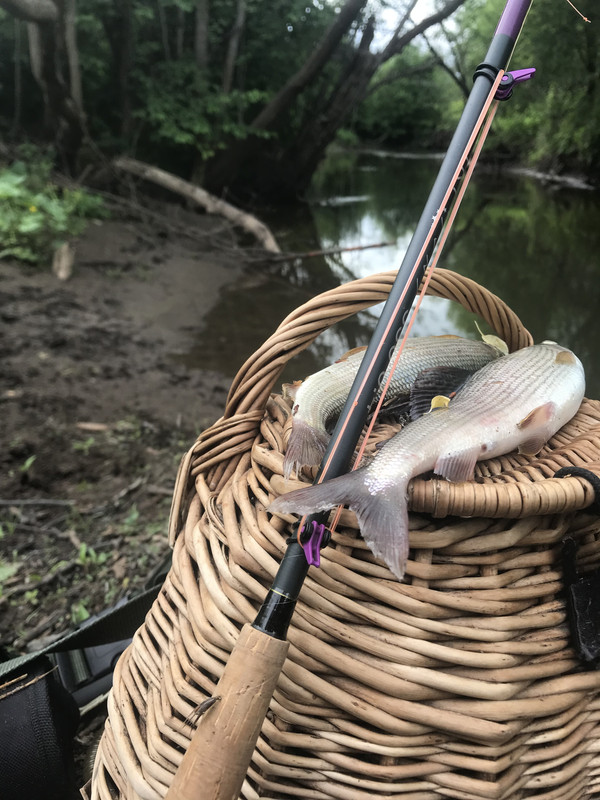 E0B7FBD6-E938-4CDB-A704-AF302D256E3C