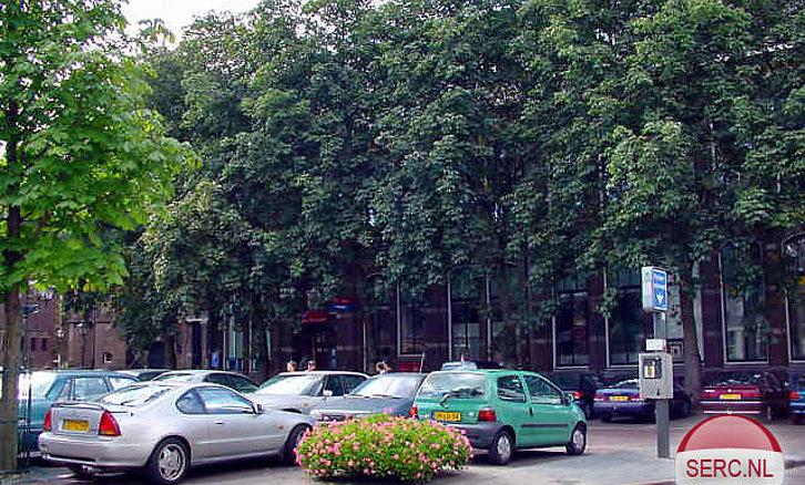 csm-zwolle-48-54727109d0.jpg