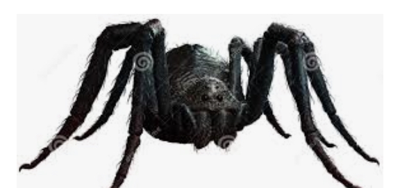 A1E03900-642F-4919-AAAB-BEB1B8D835CD