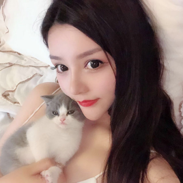 为什么打开网址都是SEO综合查询：揭秘搜索引擎优化背后的秘密