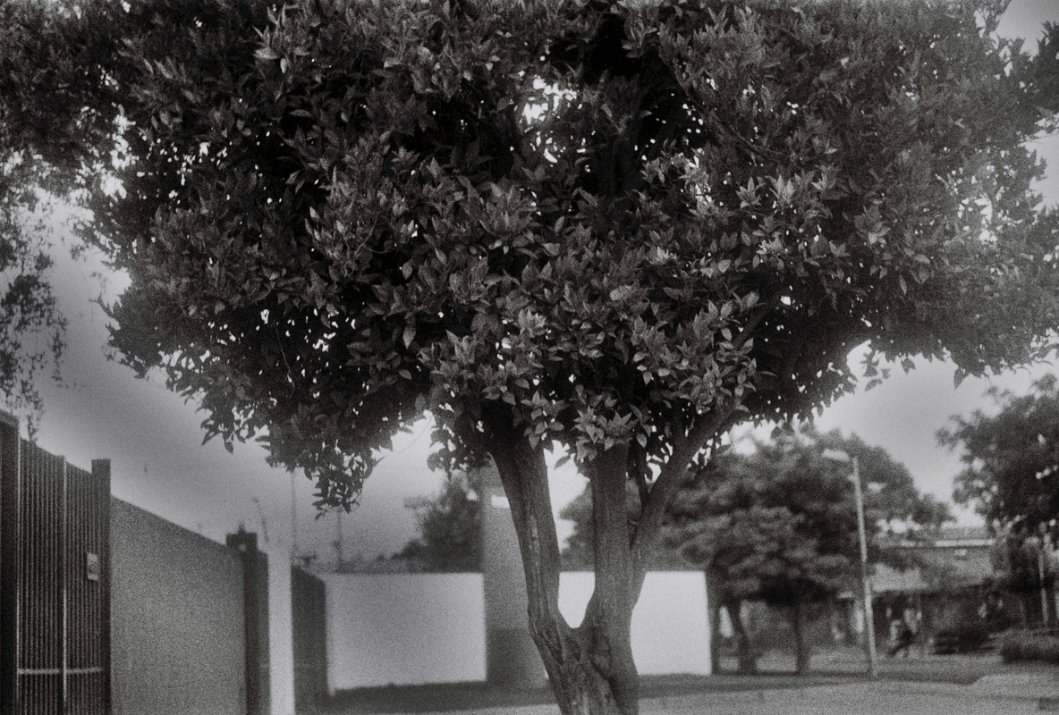 000026.jpg